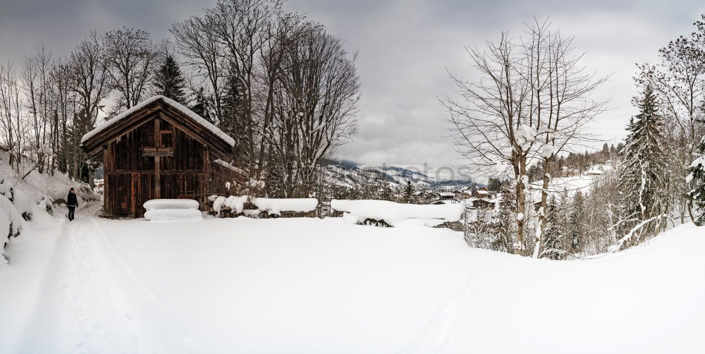 Similar – Image, Stock Photo morning sunrise over cabin in winter alpine forest and snow