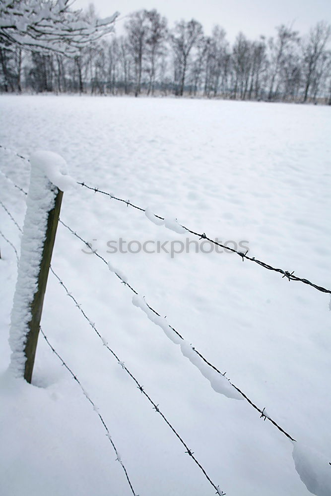 Similar – Image, Stock Photo icy childhood Landscape