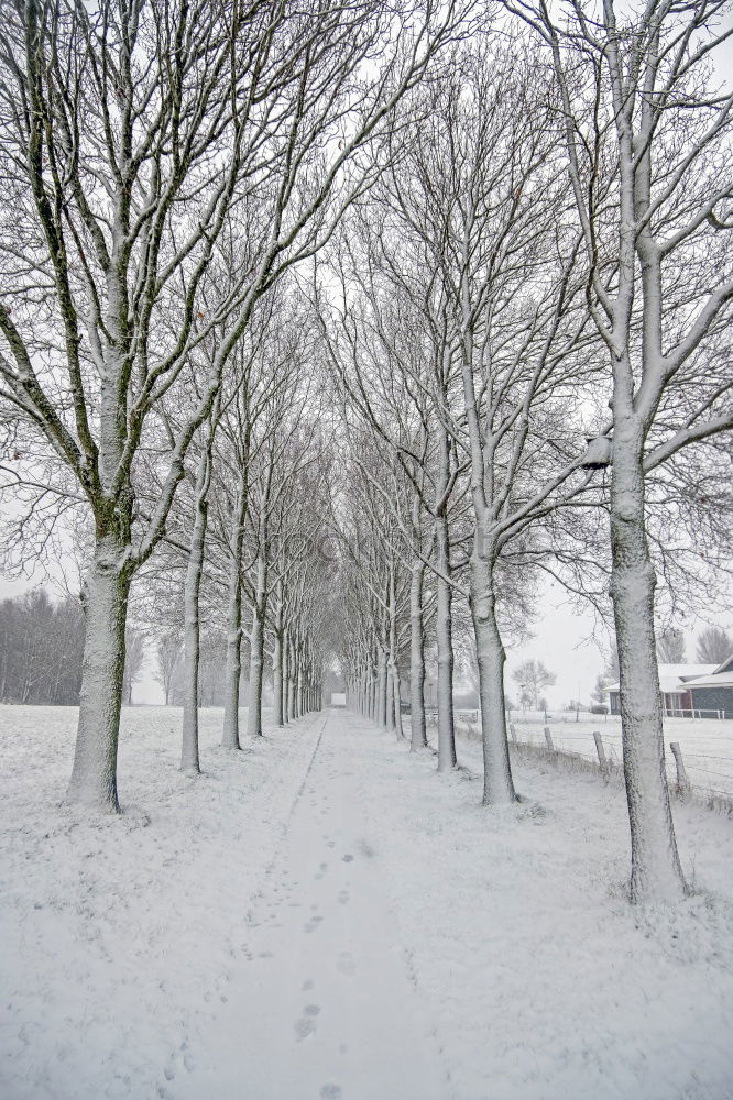 Similar – Image, Stock Photo winter dream Long exposure