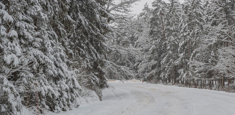 Similar – Image, Stock Photo Winter in the mountains