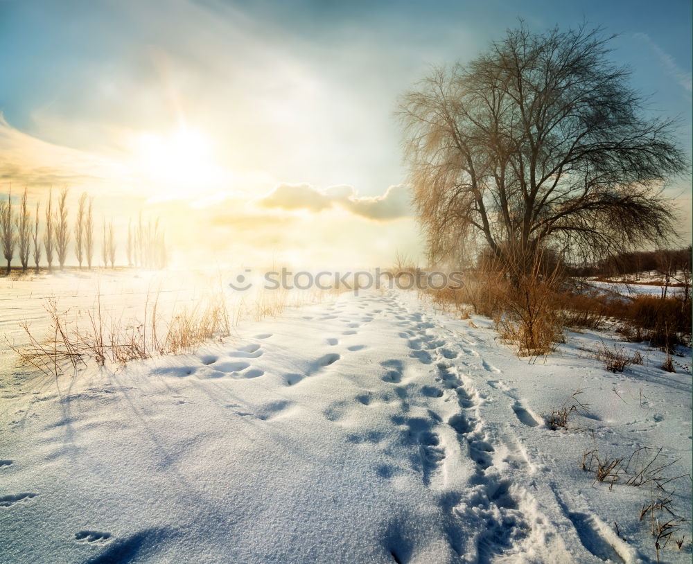 Similar – Image, Stock Photo Sunny winter morning on a river