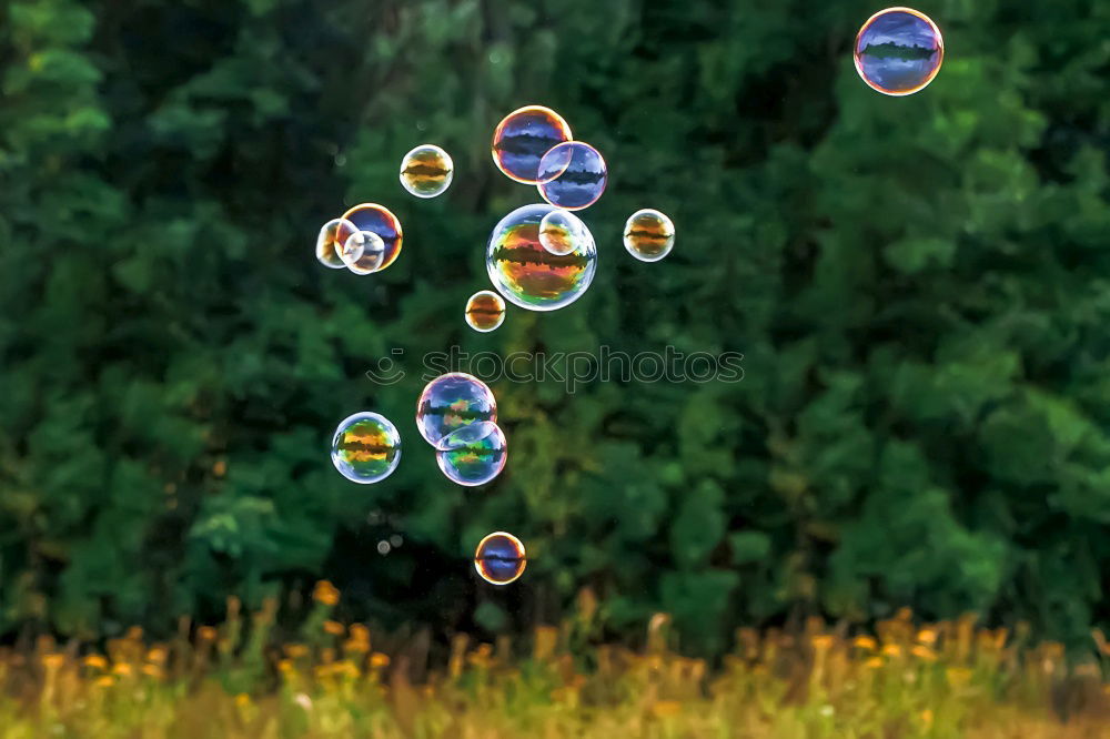 Similar – Soap Bubble Boy