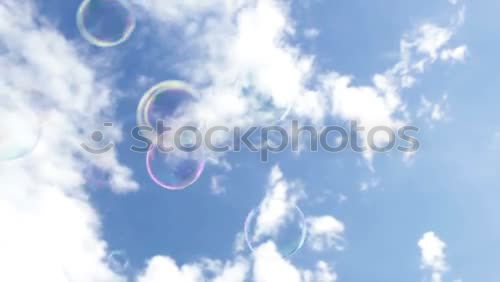 Similar – Image, Stock Photo evening lights Tree