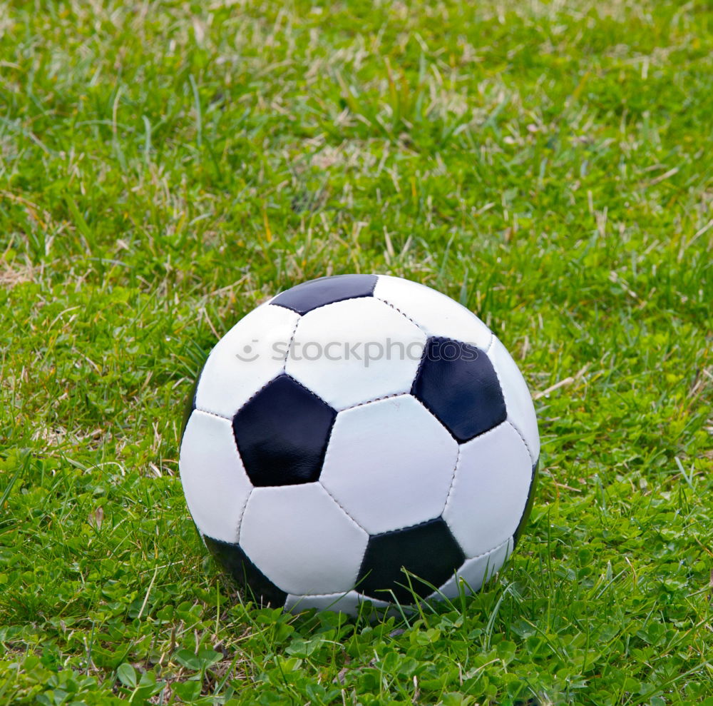 Similar – Football Ball Soccer