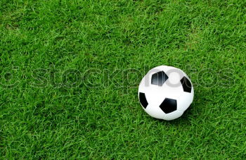 Similar – Image, Stock Photo Meadow with football Grass