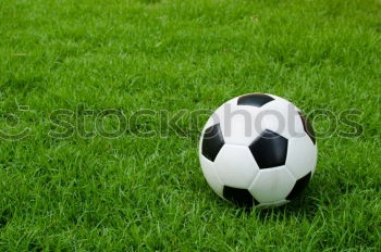 Similar – Image, Stock Photo soccer Leisure and hobbies