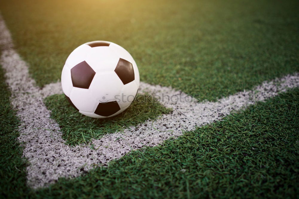 Similar – Vintage soccer ball on green grass over the white line