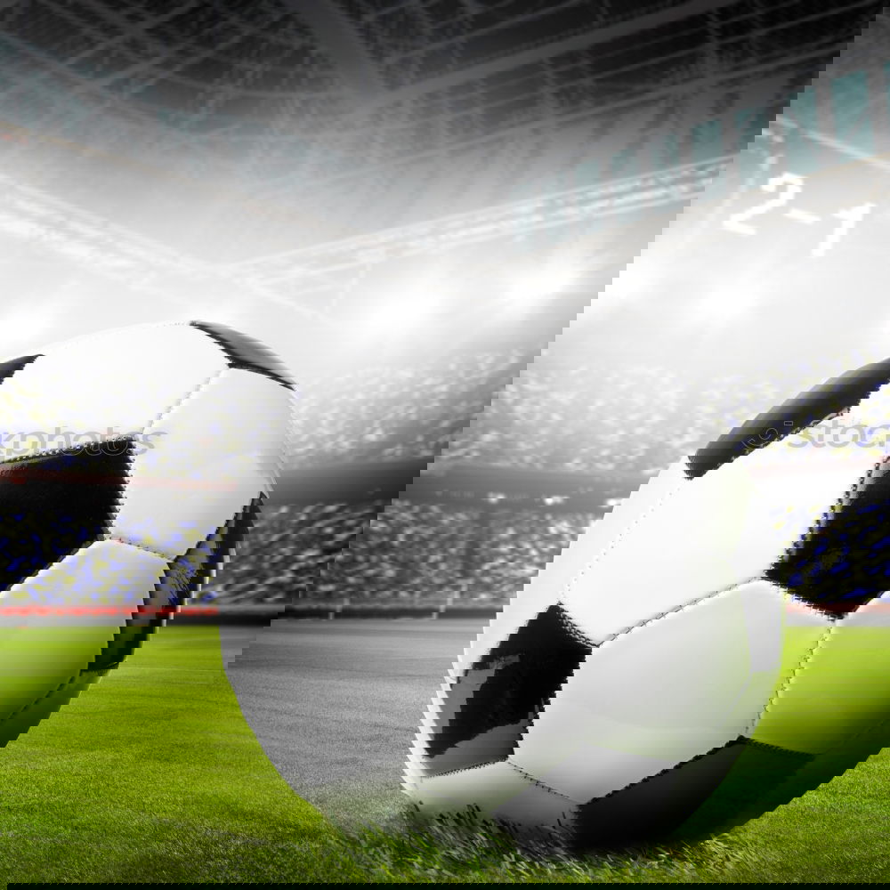 Similar – Image, Stock Photo Fans in the Laola stadium