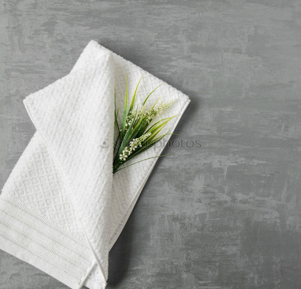 Similar – Image, Stock Photo Flowers served on a plate