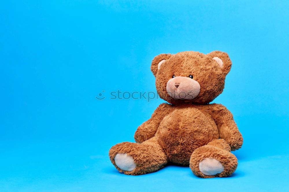 Similar – Image, Stock Photo Teddy bear Style Joy Toys