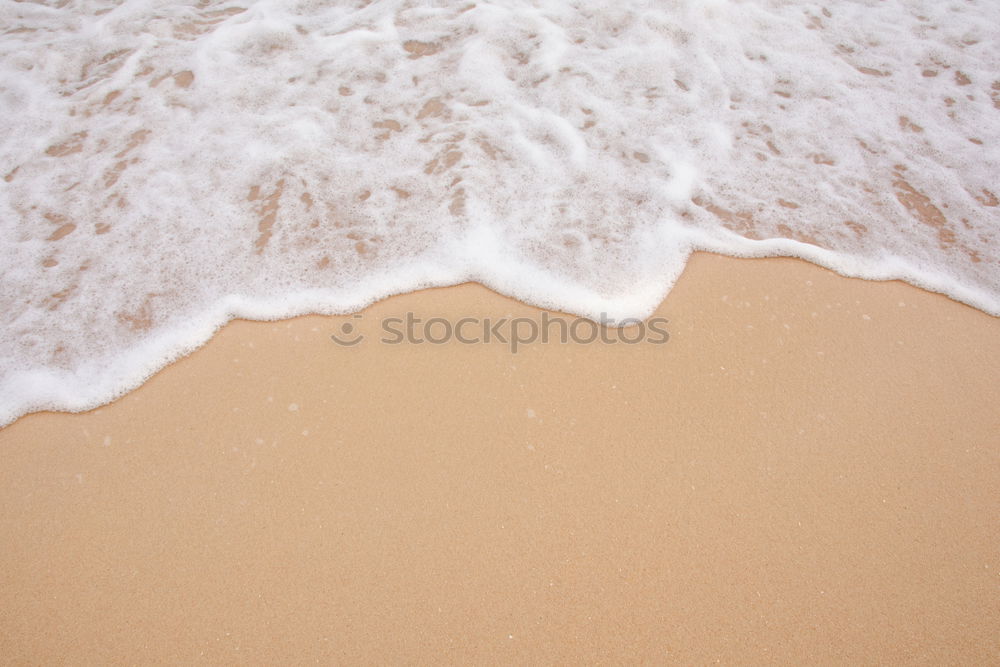 Foaming water of the Atlantic Ocean at a sandy beach