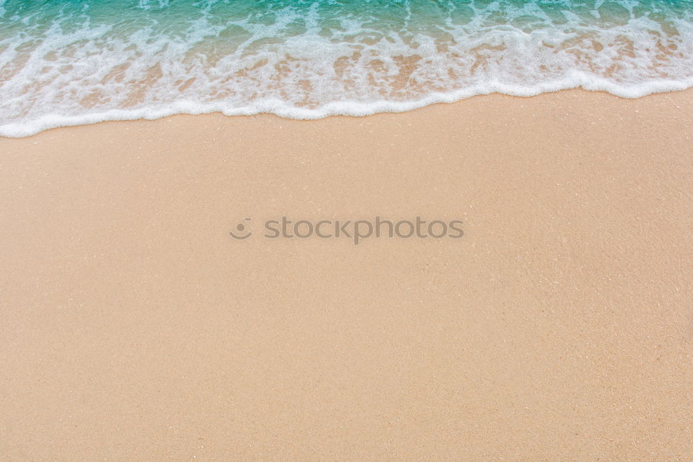 Similar – Resting on the beach of Nazaré