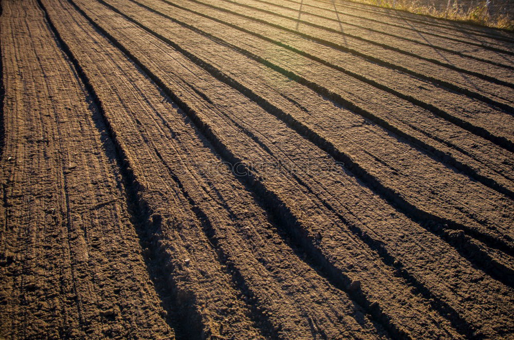 farmhand Field Loosen Plow