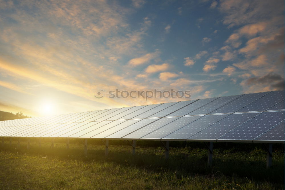 Similar – Image, Stock Photo sun canopy