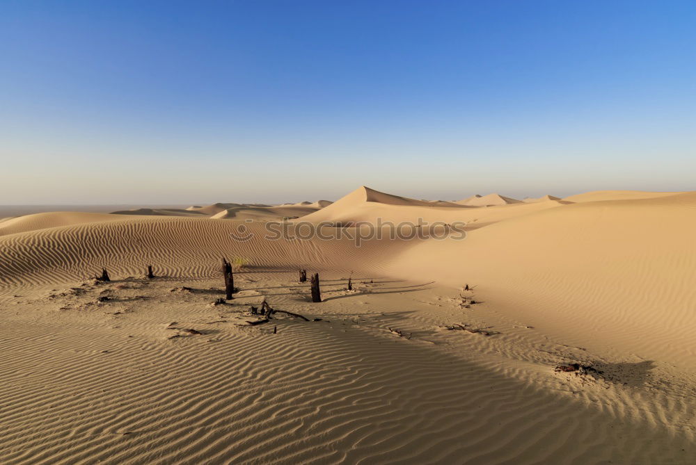 Similar – Image, Stock Photo Sandstorm in Sossusvlei #3