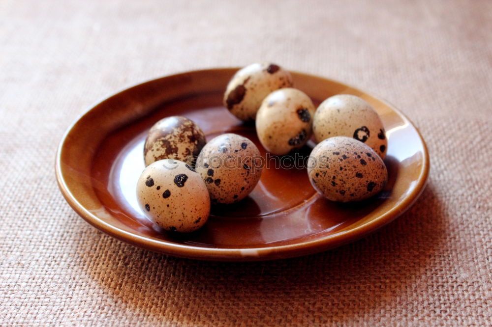 Similar – Image, Stock Photo Three fresh quail eggs on a gray wooden surface