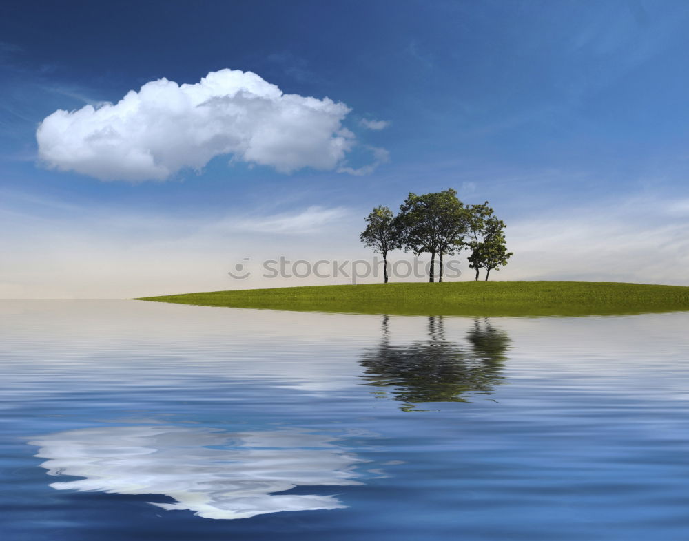 Similar – Image, Stock Photo Lonely tree on Lake Geneva