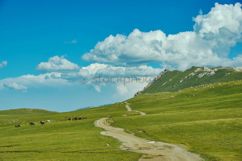 Similar – Foto Bild ACHTUNG Steinschlag