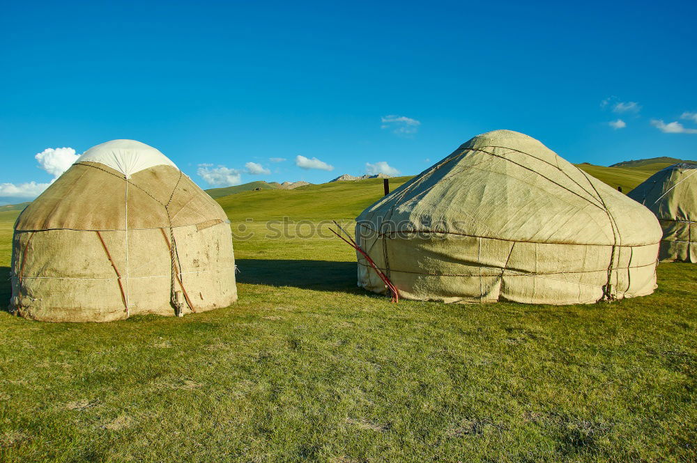 Yurt, nomad house