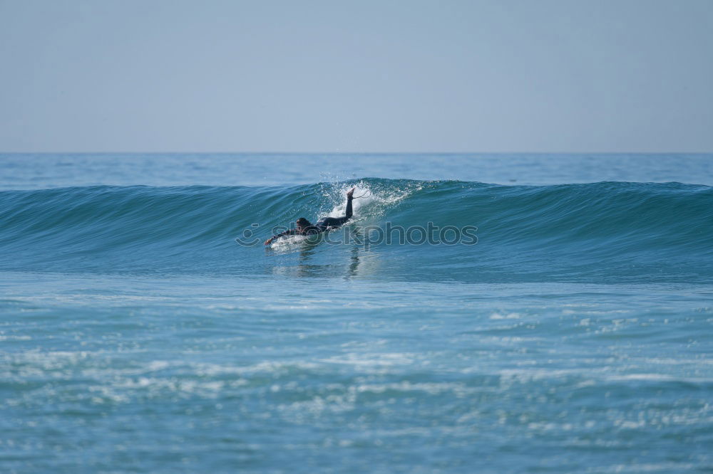 Similar – surfers Surfer Waves Ocean