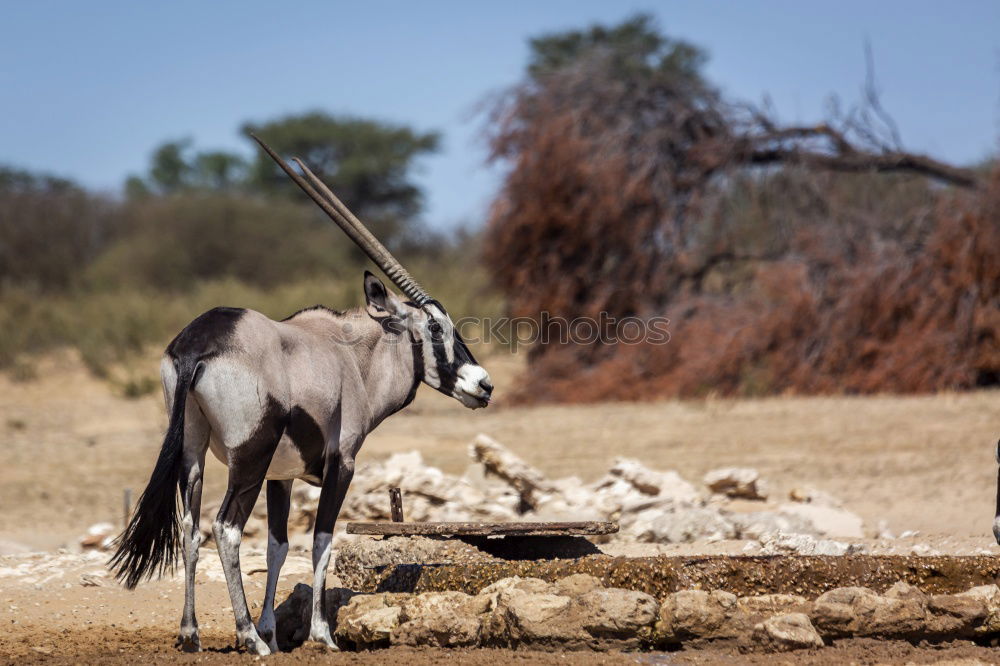 Similar – Image, Stock Photo from behind.