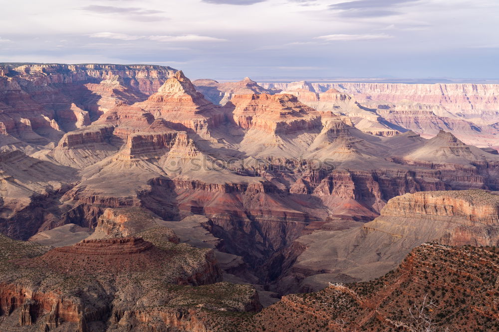 Similar – grand canyon Schlucht groß