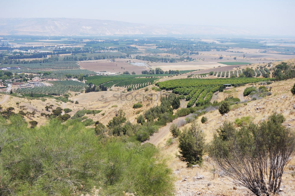 Similar – Foto Bild Mini-Straße in Andalusien