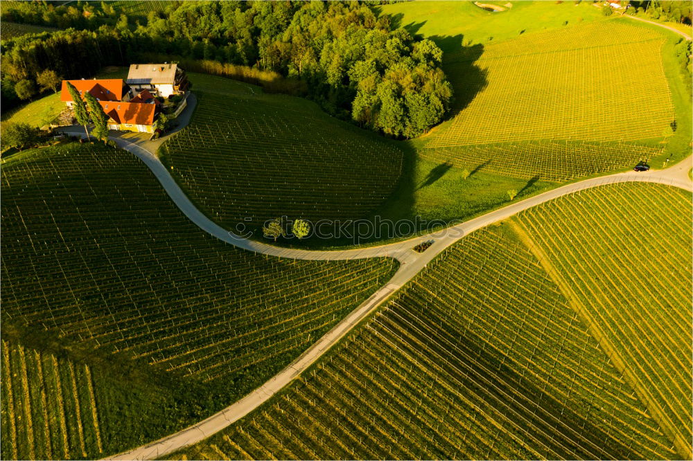 Similar – Spaziergang Umwelt Natur