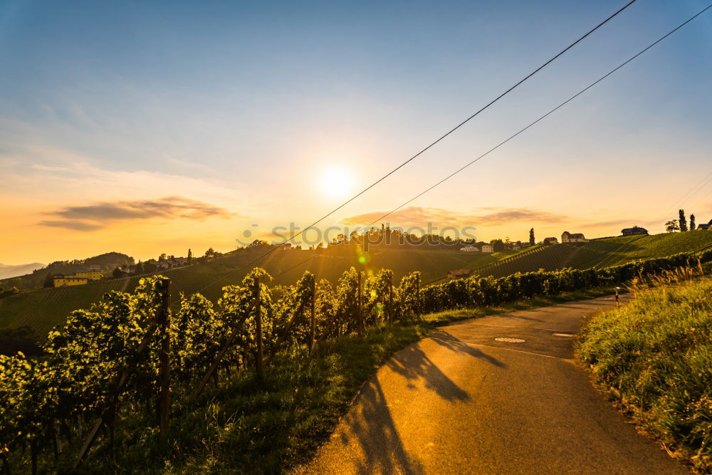 Similar – Image, Stock Photo Mediterranean road on sunset.