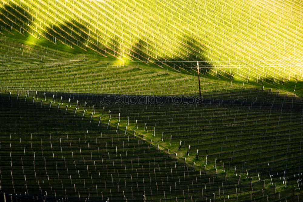 Similar – Foto Bild Schweizer Idyll Gras Wiese