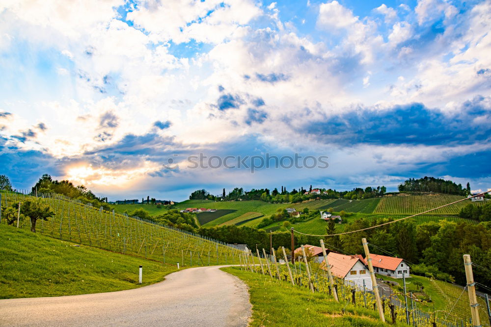 Similar – Image, Stock Photo Vine Panorama in the Ortenau near Oberkirch, Black Forest