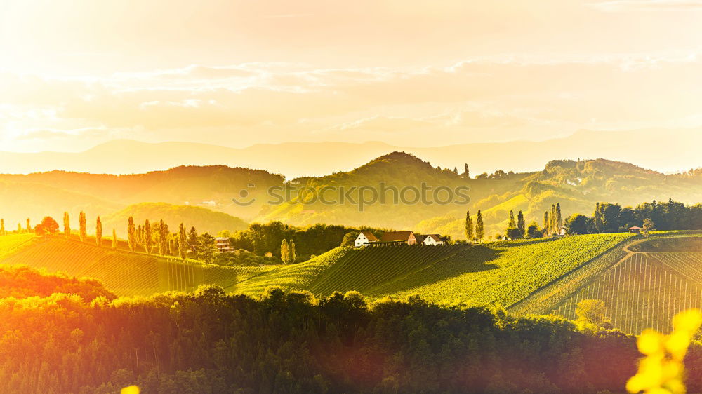 Similar – Image, Stock Photo Vineyards in Trento in autumn