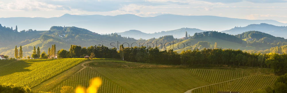 Similar – Image, Stock Photo Spring travel in Austria. Green fields