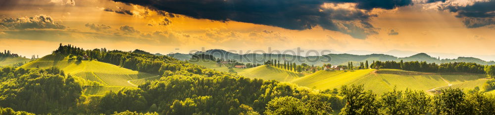 Similar – Image, Stock Photo morning sun Nature