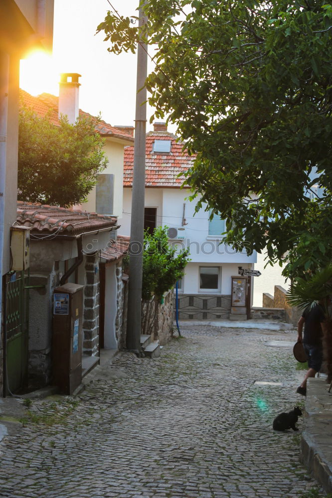 Similar – Image, Stock Photo Back Street Boy Istanbul