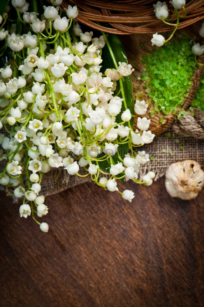 Similar – Image, Stock Photo bouquet of white flowering lilies of the valley