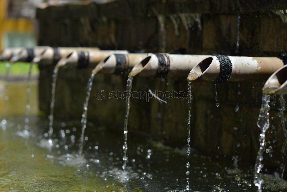 Similar – Image, Stock Photo near the water Playing