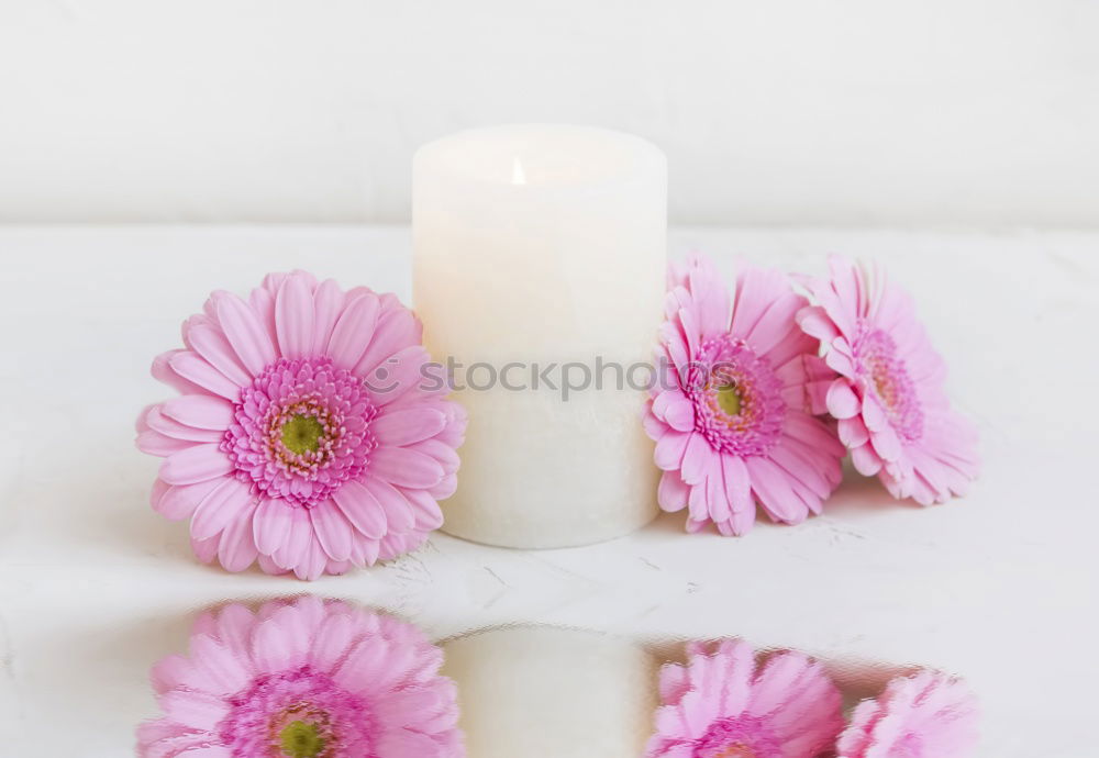 Similar – colourful spring flowers in white water bowl with three burning candles