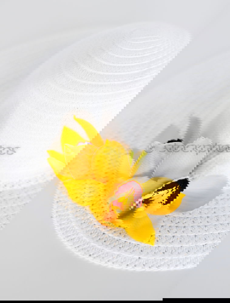 Similar – Foto Bild Plus Blume gelb Lupe