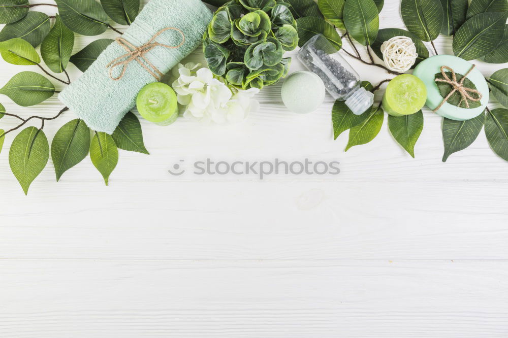 Similar – Image, Stock Photo garden world Plant