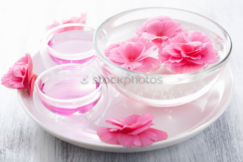 Similar – Image, Stock Photo Roses in grey bowl with water and cream