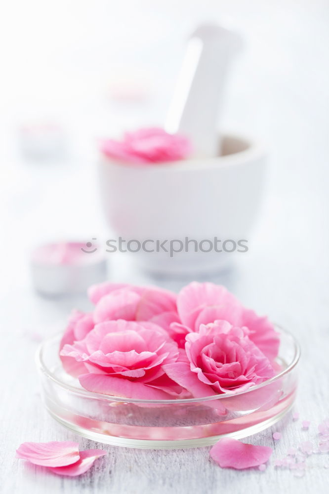 Similar – Image, Stock Photo Roses in grey bowl with water and cream