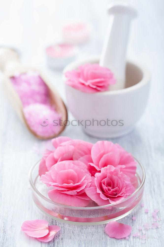 Image, Stock Photo Roses in grey bowl with water and cream