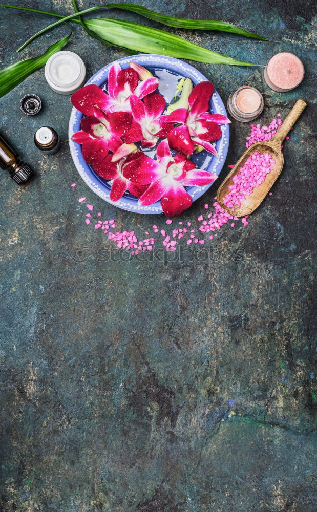 Similar – Image, Stock Photo Beautiful flowers with leaves and decoration for bouquets