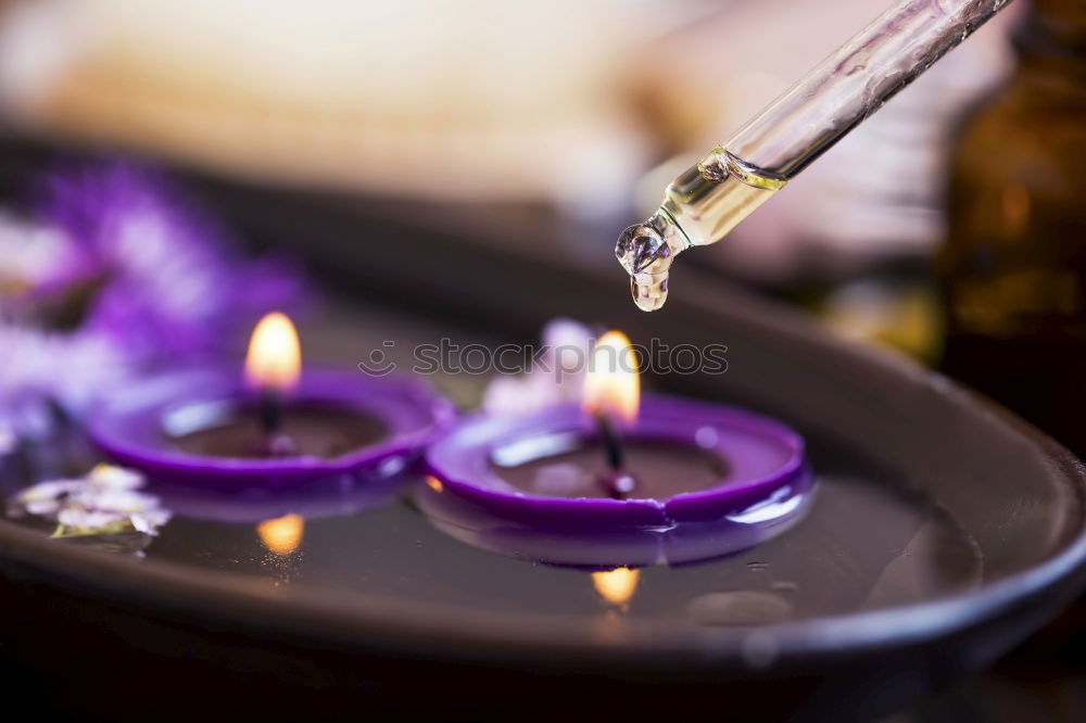 Similar – Image, Stock Photo Lavender Syrup Violet