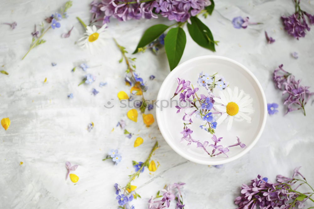 Similar – Round frames with shovel and garden flowers