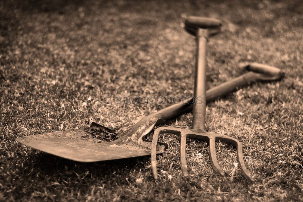 Similar – Image, Stock Photo closing time Wheelbarrow