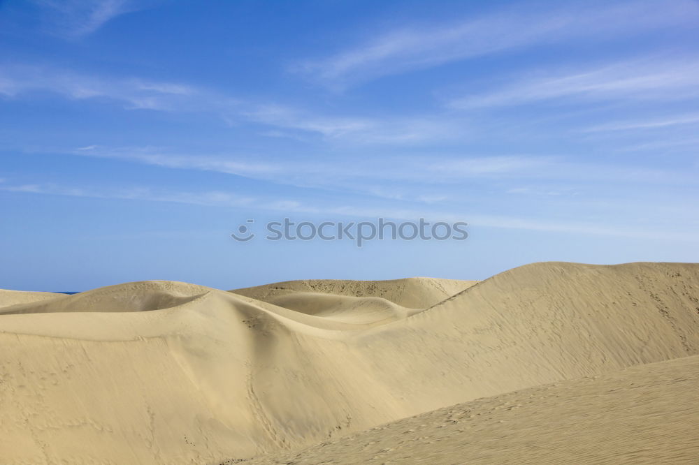 Similar – uniform look at the Baltic Sea beach