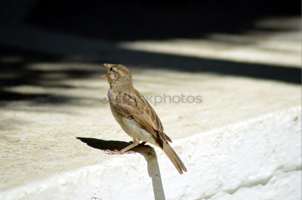 Similar – vogelperspektive.