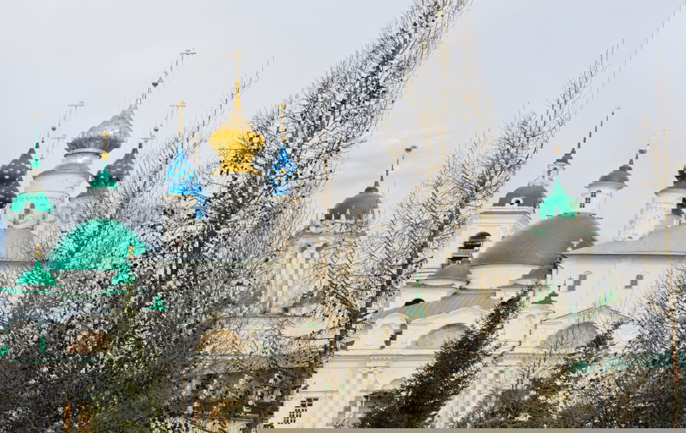 Similar – Foto Bild Windschief Rücken